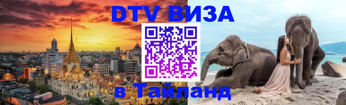 Сколько стоит DTV виза — актуальные цены, оформление даже без документов - Ставрополь  20.11.2025 